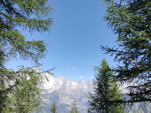 Découvrez le meilleur camping dans les hautes-pyrénées