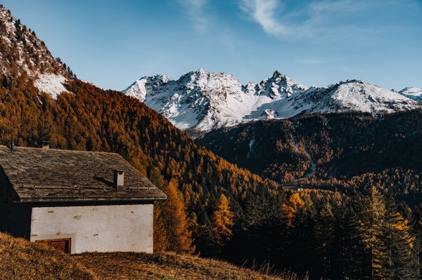 Camping Montagne : Les activités en plein air incontournables à essayer durant vos vacances